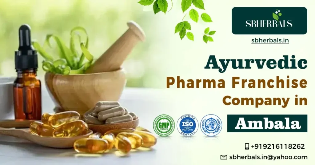 Ayurvedic Pharma Franchise Company in Ambala