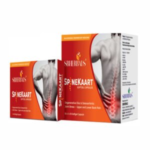 Spinekaart
