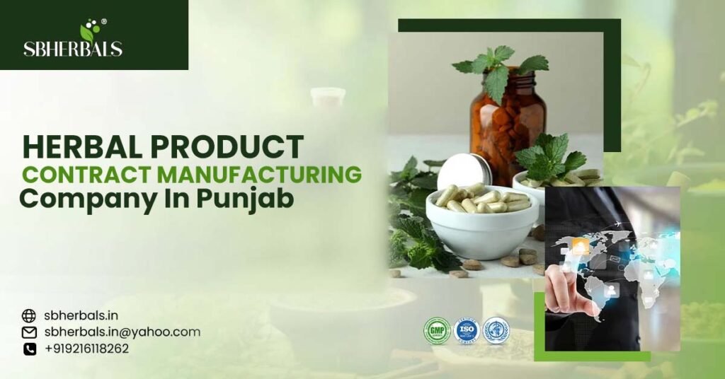 Herbal contract manufacturing company in Punjab